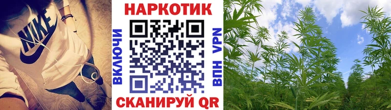 Виды наркоты Среднеуральск APVP  Псилоцибиновые грибы  ГАШ 