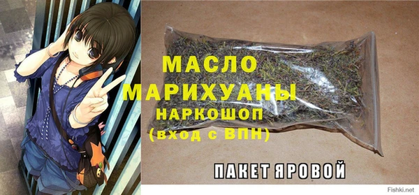 мдпв Богородск