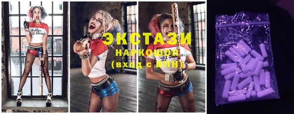 стаф Краснослободск