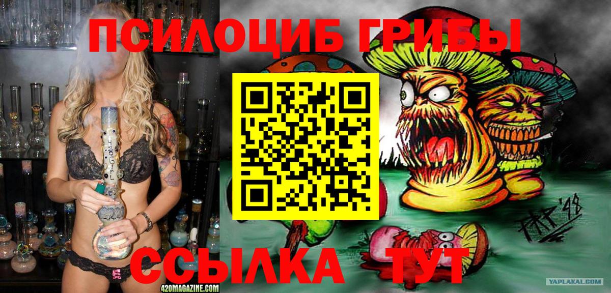 Галлюциногенные грибы GOLDEN TEACHER  Вход с VPN  Среднеуральск 